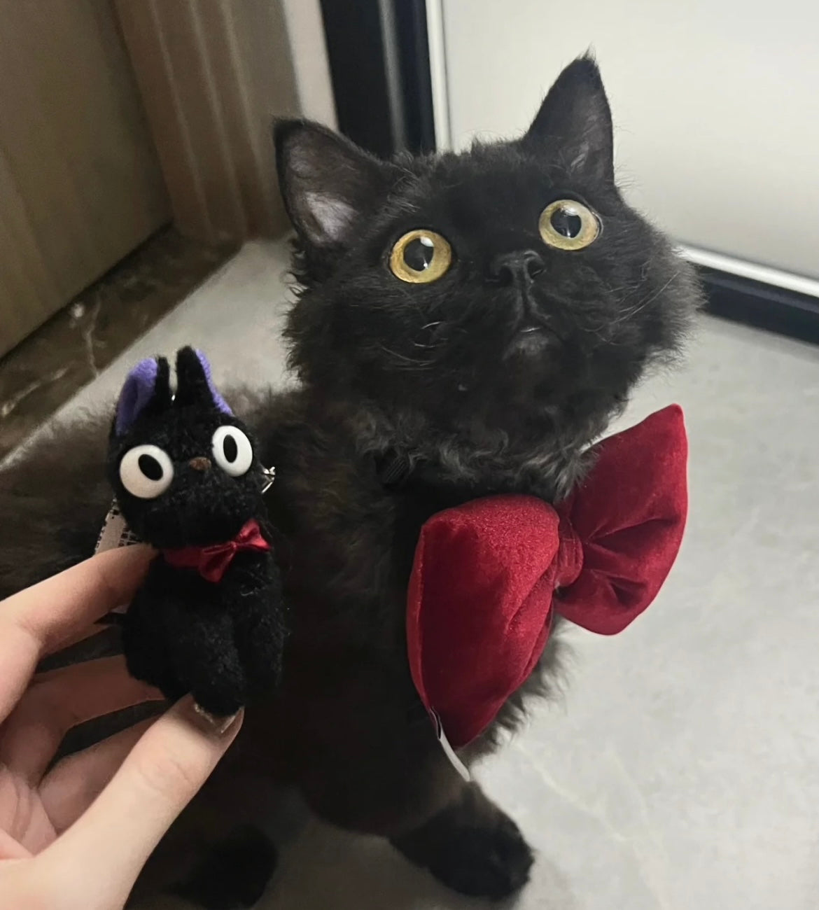 Studio Ghibli - Mini nyckelringar